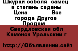 Шкурки соболя (самец) 1-я степень седены › Цена ­ 12 000 - Все города Другое » Продам   . Свердловская обл.,Каменск-Уральский г.